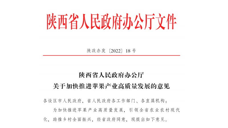 陕西出台《关于加快推进苹果产业高质量发展的意见》