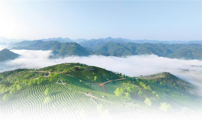 高质量发展动能澎湃  ——沿着总书记的足迹之陕西篇