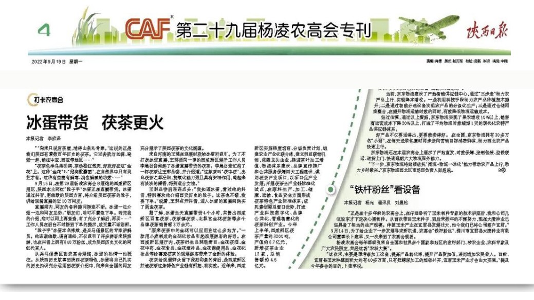 冰蛋带货 茯茶更火